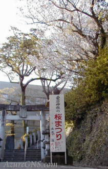 atagosakura1.jpg